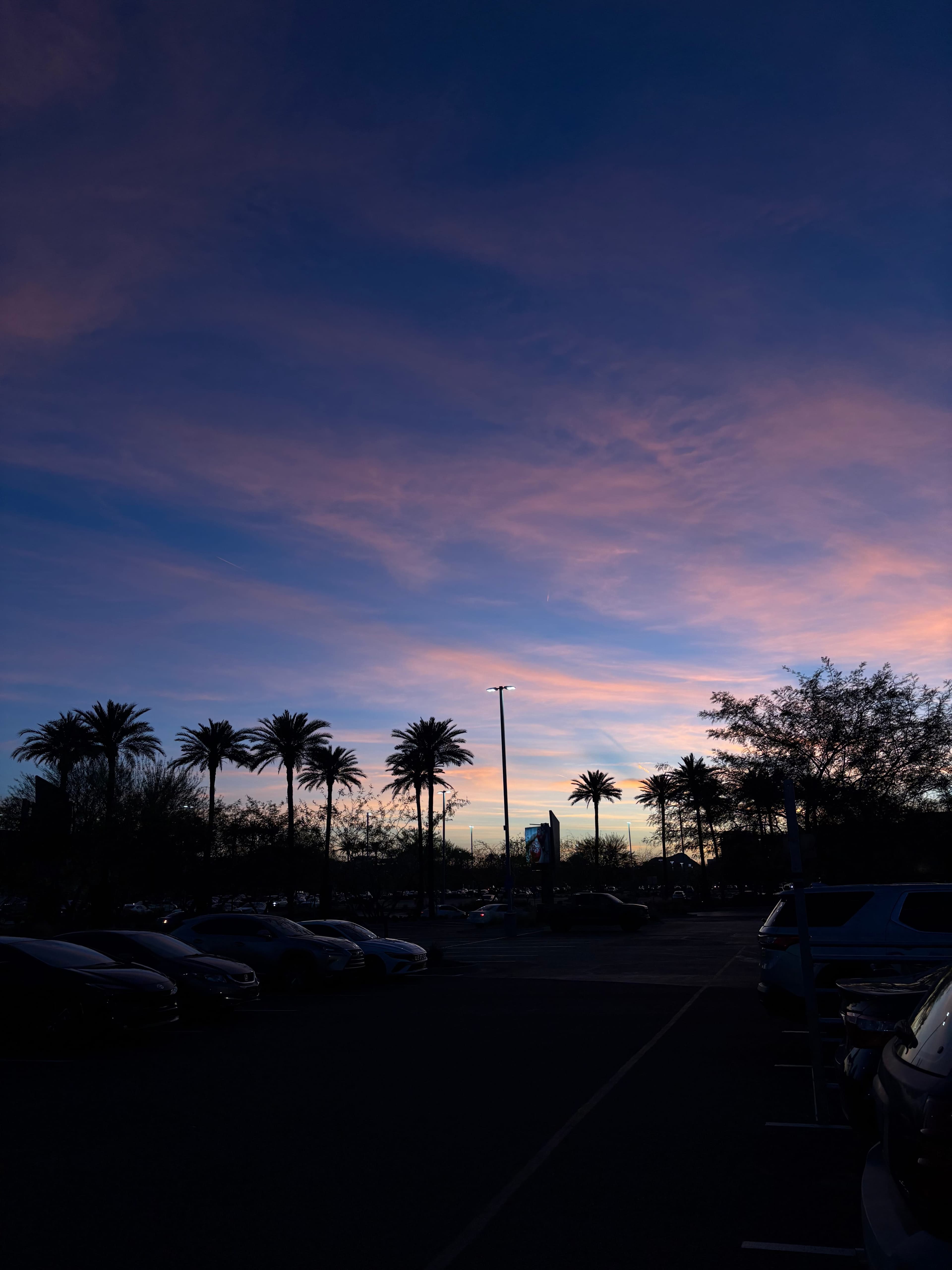 Cloudy sky above treetops